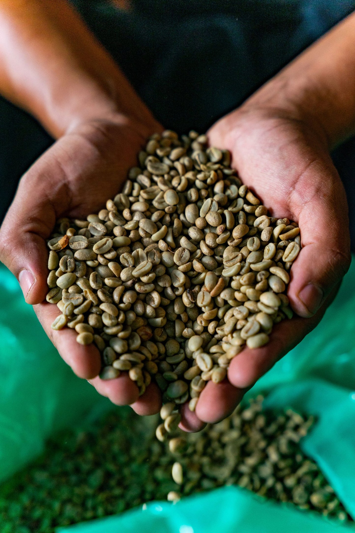 Biodynamic Green Coffee 500gr image 0