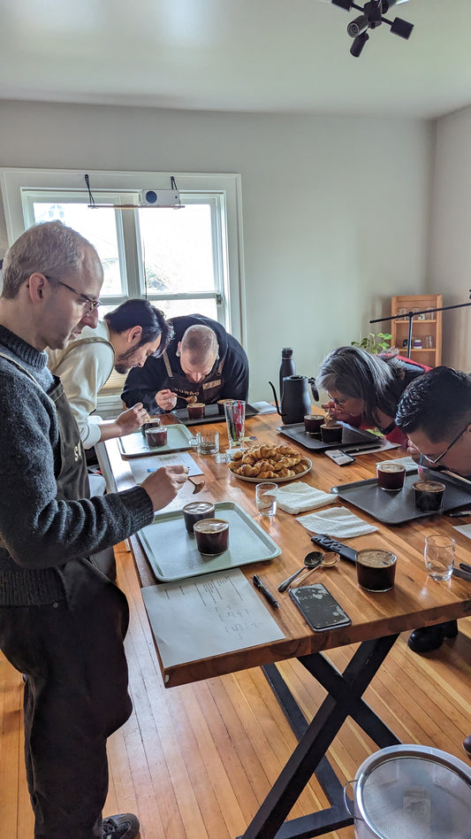 Coffee Brewing Experience