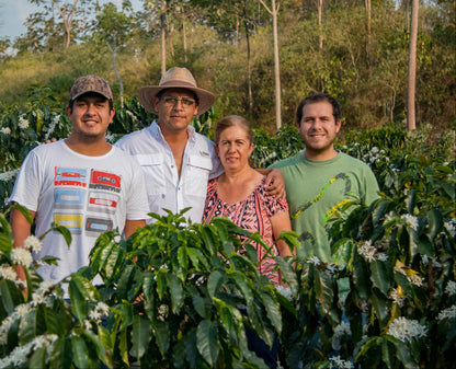 Clasico 8oz (0.50 lb)