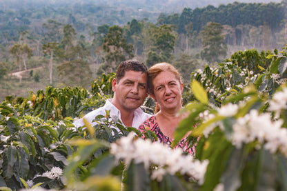 Green Coffee 1lb - Santa Estela