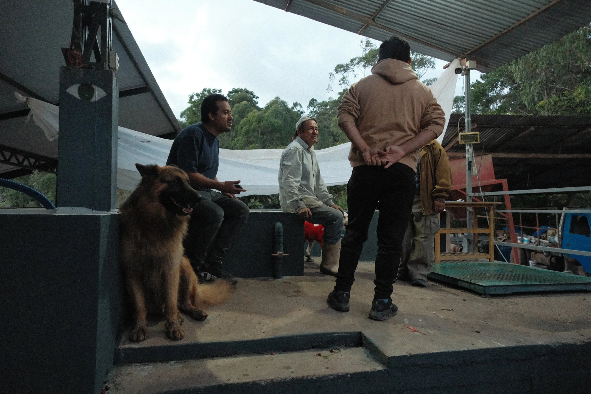 Biodynamic Green Coffee 1lb - Wiracocha State SUNAO