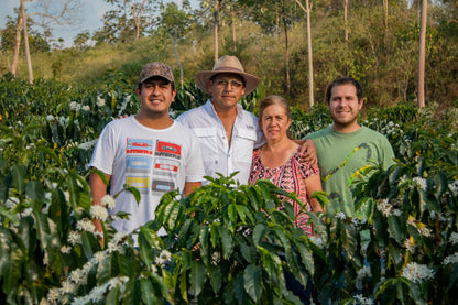 Green Coffee 1lb - Santa Estela