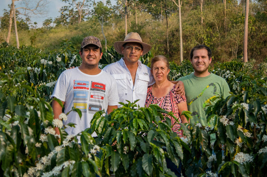 Green Coffee 1lb - Santa Estela