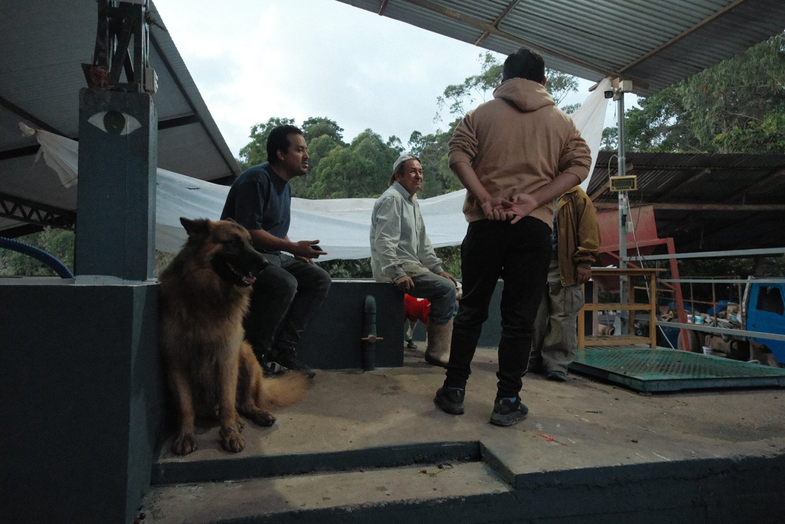 Wiracocha Blend - Clásico Biodynamic 16oz (1 lb) - Image 3