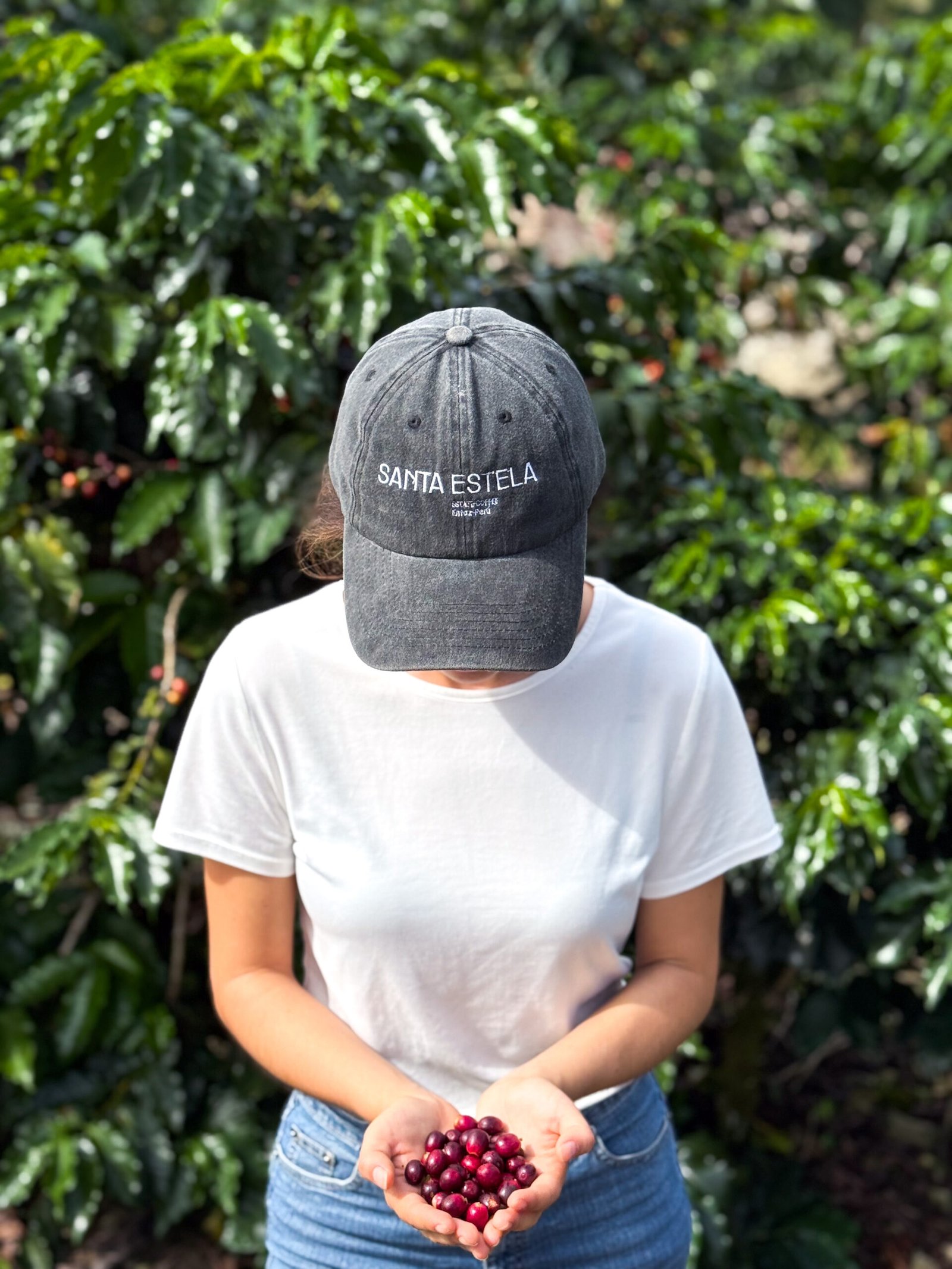 Clásico 16oz (1 lb) Santa Estela - Image 5